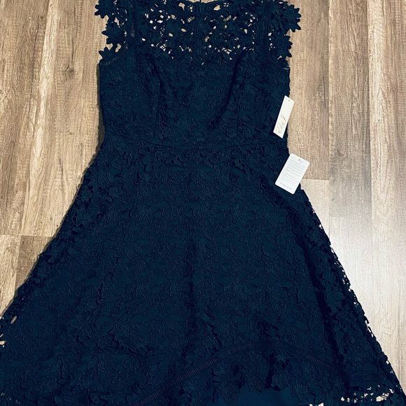 Eliza J Navy Lace Midi Dress - Picture 4 of 5